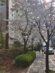 [부동산114] [아파트] 수원권선자이e편한세상 103동 매매 희망가격 53,000만원