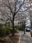 [부동산114] [아파트] 수원권선자이e편한세상 103동 매매 희망가격 53,000만원