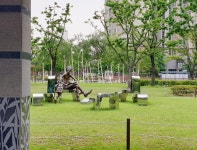 [부동산114] [아파트] 광교자이더클레스 4210동 전세 희망가격 67,000만원