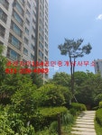 [부동산114] [아파트] 수원권선자이e편한세상 116동 매매 희망가격 67,000만원