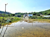 [부동산114] [토지] 강상면 매매 희망가격 42,000만원