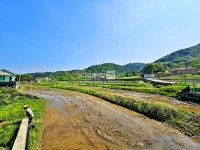 [부동산114] [토지] 강상면 매매 희망가격 42,000만원