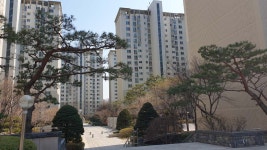 [부동산114] 재건축 바람에 기대감 상승하고 있는 문정동 현대1차 아파트 동향
