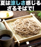 Chara Lab: 본격파 순메밀국수 8식(180 g×4봉) | 라쿠텐 일본 Chara Lab: 본격파 순메밀국수 8식(180 g×4봉)