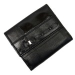 BrandValue: 살바토레 페라가모 Salvatore Ferragamo W훅크 반접기 지갑 베라브락크레자레디스 g0563 | 라쿠텐 일본