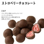 SNOW-WING: 육화정스트로베리 초콜렛 밀크 B01DZ3P3GO-540☆전1색 | 라쿠텐 일본 Item Page