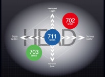라쿠텐 - ドゥーカス DCD702 ドライバーDOCUS DCD702 DRIVERDiamana X 17 カーボンシャフトオリジナルカスタム