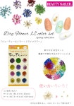 Nail Town: BEAUTY NAILER(뷰티 네이러) 드라이 플라워 12색셋트코고메나데시코[DRF-3]눌러 말린 꽃 네일봄네일 꽃무늬 플라워 젤 네일... 