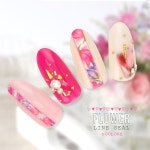 EvelynNail | 라쿠텐 일본: 네일 씰꽃플라워 라인전 3 종류극박!거듭해 붙여 OK! * 플라워 씰화춘네일 플라워 네일 스프링 네일 라인 수채화풍*