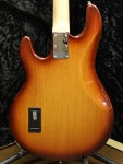 Guitar Planet: Sterling by MusicMan RAY34 신품 햇살 [스탈린] [뮤직 맨] [Stingray, 스 팅 레이] [Sunburst] [Electric Bass, 일렉트릭... 