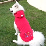 iDog and iCat: iDog 중대형견용 스마이르로고후리스파카아이좃그 | 라쿠텐 일본