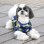 iDog and iCat | 라쿠텐 일본: iDog 미채 키르트탄크아이좃그