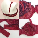LiseConcerto | 라쿠텐 일본: 리즈샤르멜 LISE CHARMEL [패드 없음]3/4브래지어(D컵) 품 차례 ACC3405 [RD]임포트 란제리 고급 섹시 SEXY...
