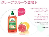 lugh and company: 　 아스락대응 후롯슈(Frosch) 미니 키친 워쉬&amp;마나스폰지기후트셋트(식기용 농축 타입 125 ml &amp;스펀지)... 