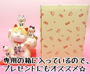 LUCKY CAT SHOP ORNER KOIDE: 개점 축하 살롱 선술집 선물 카페레스토랑 미용실 선물 금운 업 상품/저금통 지폐 멋쟁이 큰 대용량 500엔... 
