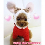 TIARA PETS: OH! MY HONEY(오마이하이니)・☆마슈마로스누드 | 라쿠텐 일본 Item Page