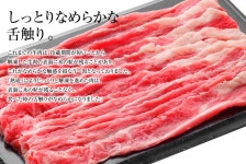 yoshinoya-shop: 요시노야 냉동 소고기 덮밥의 도구 5봉 세트 | 라쿠텐 일본 yoshinoya-shop: 요시노야 냉동 소고기 덮밥의 도구 5봉 세트