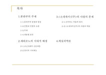 일본문화의 이해 일본의인형극죠루리 - 인문/교육 일본문화의 이해 일본의인형극죠루리 대학레포트 인문/교육