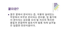 꿀과 건강 보곡서 - 자연/공학 꿀과 건강 보곡서 대학레포트 자연/공학
