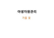 가을꽃 야생자원관리 - 자연/공학 가을꽃 야생자원관리 대학레포트 자연/공학