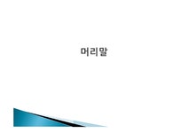 윤리형 이상학의 정초 - 사회과학 윤리형 이상학의 정초 대학레포트 사회과학