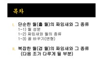 통어론 조사보고서 - 사회과학 통어론 조사보고서 대학레포트 사회과학