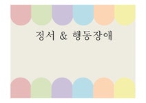 특수교육 정서행동장애 - 인문/교육 특수교육 정서행동장애 대학레포트 인문/교육