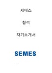세메스 합격자소서 2020하반기 - 자기소개서 세메스 합격자소서 2020하반기 대학레포트 자기소개서