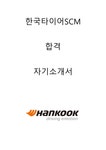 한국타이어 SCM 합격자소서 2020하반기 - 자기소개서 한국타이어 SCM 합격자소서 2020하반기 대학레포트 자기소개서