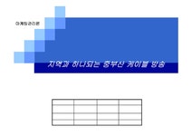 마케팅관리 중부산 케이블방송 마케팅 - 경제경영 마케팅관리  중부산 케이블방송 마케팅 대학레포트 경제경영