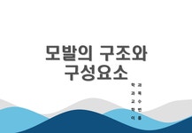 모발의구조와 구성요소 - 생활과학 모발의구조와 구성요소 대학레포트 생활과학