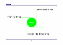 글로벌브랜드 SJ 서전안경원 국제브랜드전략 - 경제경영 글로벌브랜드  SJ 서전안경원 국제브랜드전략