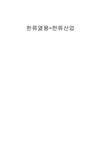한류열풍=한류산업 - 사회과학 한류열풍=한류산업 대학레포트 사회과학