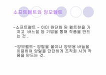 생활과학 펠트를 이용한 생활 소품 만들기 - 자연/공학 생활과학 펠트를 이용한 생활 소품 만들기 대학레포트 자연/공학