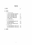국제경영학 글로벌환경속 우리 자동차산업의 경쟁력 제고방안 - 경제경영 국제경영학  글로벌환경속 우리 자동차산업의 경쟁력 제고방안