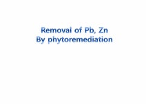 환경생태공학 식물을 이용한 삼보광산의 납 아연 제거(영문) - 사회과학 환경생태공학 식물을 이용한 삼보광산의 납  아연 제거(영문) 대학레포트... 
