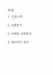 인터넷마케팅 자보렌트카 - 경제경영 인터넷마케팅  자보렌트카 대학레포트 경제경영