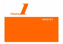 르카프 마케팅전략 - 경제경영 르카프 마케팅전략