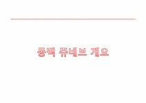 부동산마케팅 용인 동백지구 쥬네브 쇼핑몰 활성화 방안 - 경제경영 부동산마케팅  용인 동백지구 쥬네브 쇼핑몰 활성화 방안