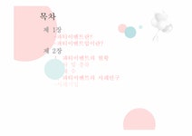 이벤트사업론 파티이벤트업 현황 문제점 및 개선방안 - 경제경영 이벤트사업론  파티이벤트업 현황  문제점 및 개선방안 대학레포트 경제경영