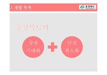 관광개발 충청북도 관광개발 프로그램-모노레일(나래호) - 경제경영 관광개발  충청북도 관광개발 프로그램-모노레일(나래호)