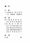 서비스경영 SM&E 빌딩 종합 관리 서비스 기업의 경영 사례 - 경제경영 서비스경영  SM&E 빌딩 종합 관리 서비스 기업의 경영 사례