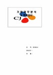 기업재무회계 CJ기업재무분석& 회계감사 - 경제경영 기업재무회계  CJ기업재무분석& 회계감사