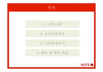 서비스마케팅 네이트 NATE 기업환경 분석 및 향후 전망 - 경제경영 서비스마케팅  네이트 NATE 기업환경 분석 및 향후 전망 대학레포트 경제경영