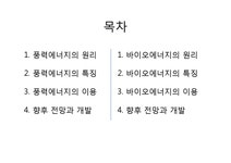 환경과 인간 풍력에너지 바이오에너지의 현황과 향후 전망 및 개발 - 사회과학 환경과 인간  풍력에너지  바이오에너지의 현황과 향후 전망 및... 