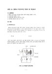 물리학실험 11A 플랑크-아인슈타인 광양자 및 광전효과 - 자연/공학 물리학실험  11A 플랑크-아인슈타인 광양자 및 광전효과 대학레포트 자연/공학