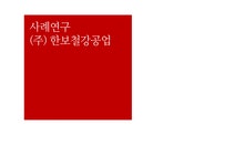 경영분석 (주) 한보철강공업 재무분석 - 경제경영 경영분석 (주) 한보철강공업 재무분석
