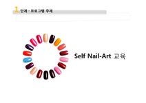 평생교육 여성의 Self Nail-Art 교육 프로그램 계획 - 인문/교육 평생교육  여성의 Self Nail-Art 교육 프로그램 계획 대학레포트 인문/교육