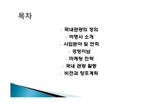 국내 여행의 관광 사업 국내 여행사 테마캠프 소개 경영 이념 연혁 비전과 목표 마케팅 전략 사업분야 서비스 마인드 현황 특징 마케팅 효과 전망... 