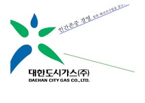 인적자원관리 대한도시가스 인적자원관리 제도 - 경제경영 인적자원관리  대한도시가스 인적자원관리 제도 대학레포트 경제경영